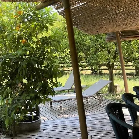 Tente de luxe Campo Portakal Eco Glamping *