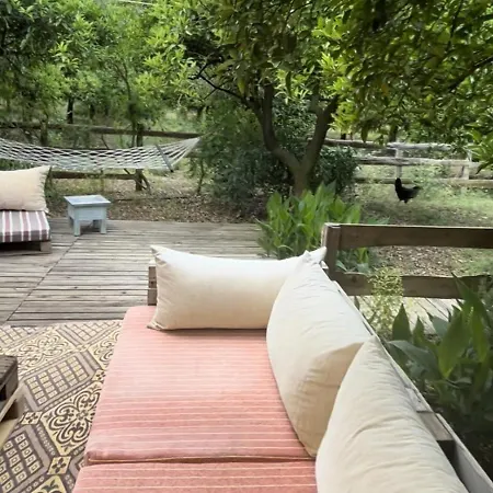 Campo Portakal Eco Glamping Tente de luxe Çıralı