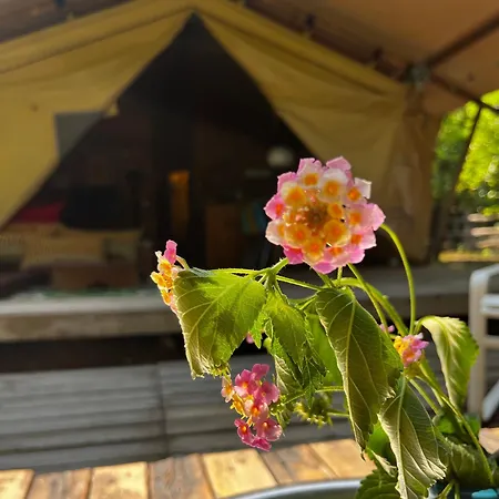 Campo Portakal Eco Glamping Luxury tent *